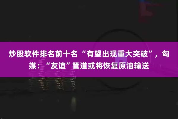 炒股软件排名前十名 “有望出现重大突破”，匈媒：“友谊”管道或将恢复原油输送