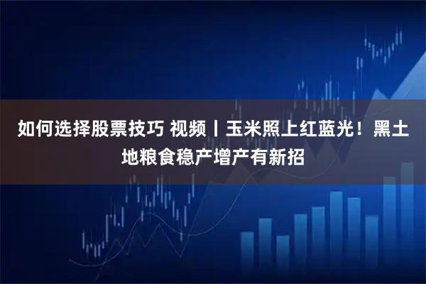 如何选择股票技巧 视频丨玉米照上红蓝光！黑土地粮食稳产增产有新招